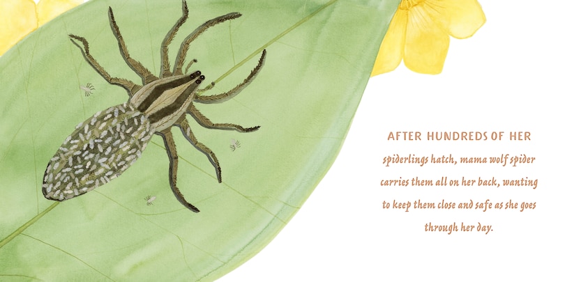 Sample content 4_Mamas and Babies