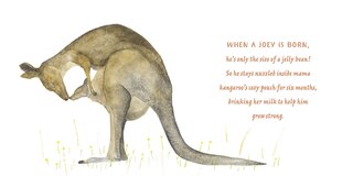 Sample content 5_Mamas and Babies