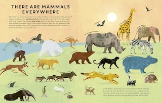 Sample content_Mammals Everywhere