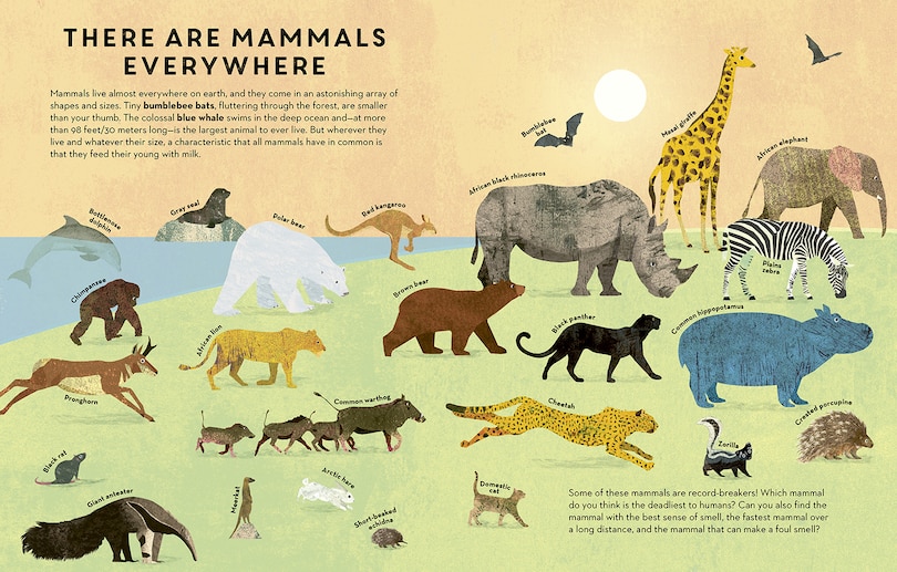 Sample content_Mammals Everywhere