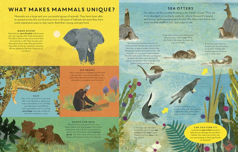 Sample content 2_Mammals Everywhere