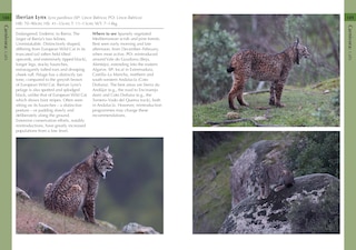 Aperçu du contenu_Mammals of Iberia