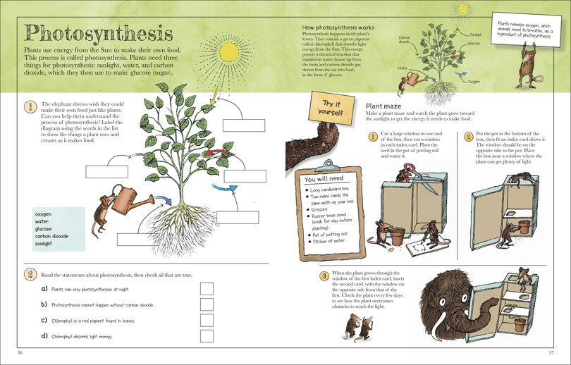 Sample content 3_Mammoth Science Workbook