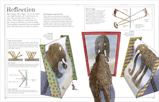 Aper&ccedil;u du contenu 3_Mammoth Science