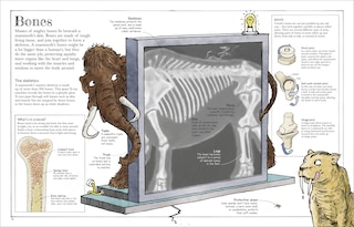 Aper&ccedil;u du contenu 5_Mammoth Science