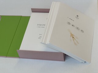 Sample content 4_Marina Abramovic: Nomadic Journey and Spirit of Places