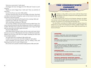Sample content 2_Maritime Monsters