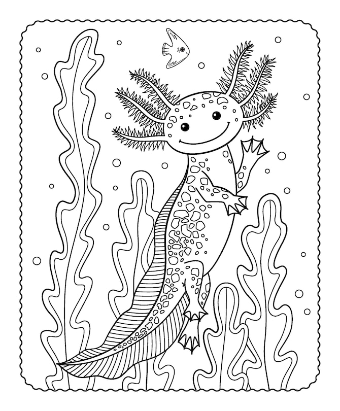 Sample content 3_MARKERIFIC AXOLOTL BUDDIES