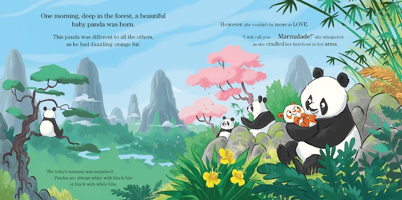 Sample content_Marmalade