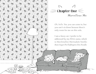 Sample content_Marshmallow Pie The Cat Superstar