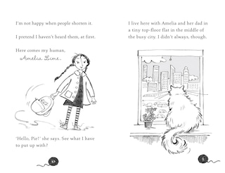 Sample content 2_Marshmallow Pie The Cat Superstar