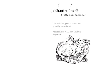 Sample content_Marshmallow Pie The Cat Superstar On TV