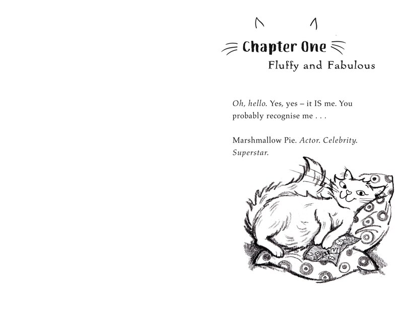 Sample content_Marshmallow Pie The Cat Superstar On TV