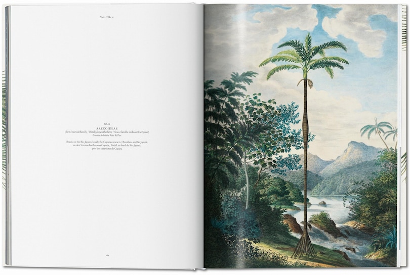 Sample content 2_Martius. The Book Of Palms