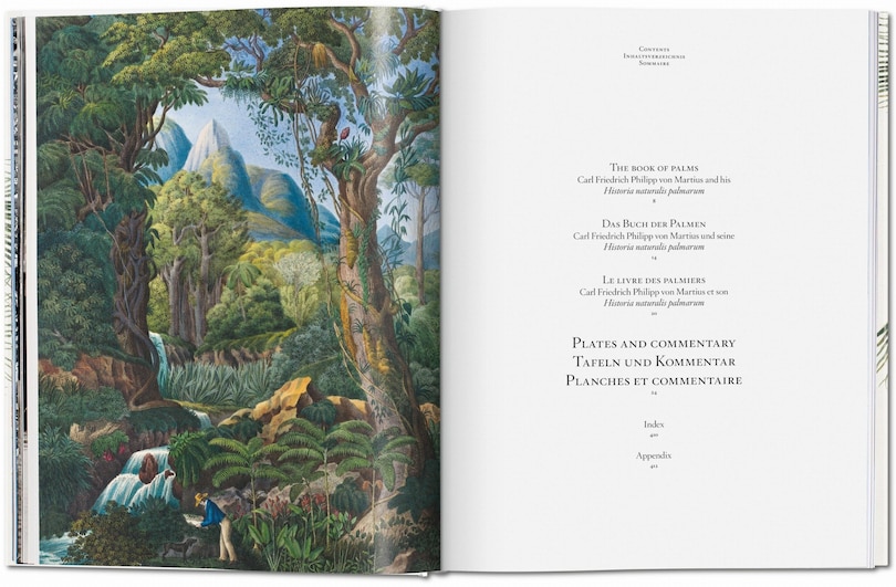 Sample content 5_Martius. The Book Of Palms