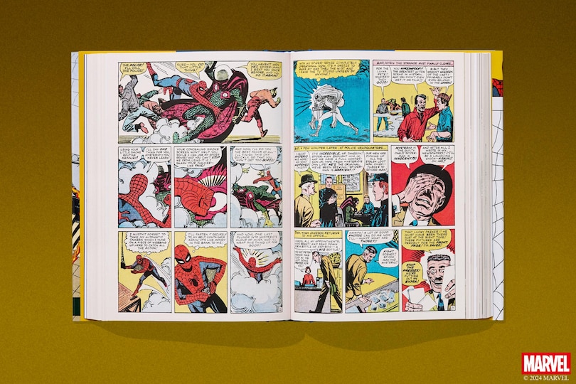 Aperçu du contenu 3_Marvel Comics Library. Spider-Man. 1962–1964