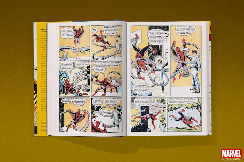 Aperçu du contenu 4_Marvel Comics Library. Spider-Man. 1962–1964