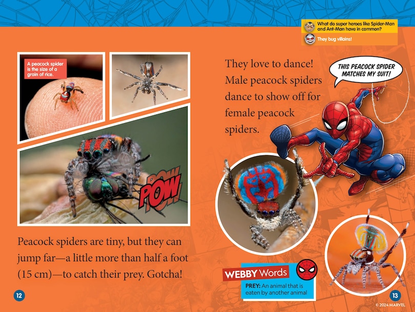 Aperçu du contenu 3_Marvel's Spider-Man Bugs Out! (National Geographic Kids Readers, Level 1)