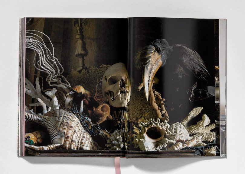 Sample content 2_Massimo Listri. Cabinet of Curiosities