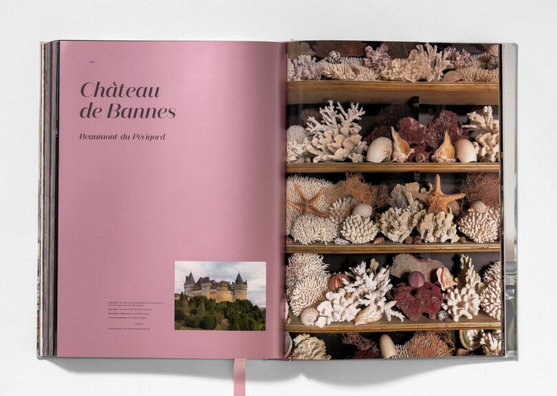 Sample content 3_Massimo Listri. Cabinet of Curiosities