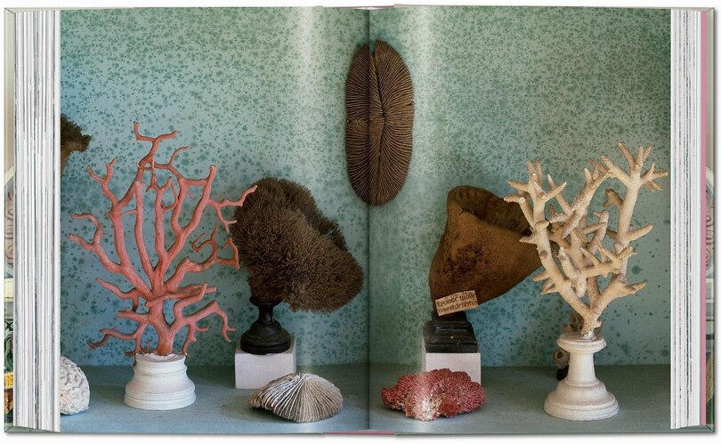 Sample content 3_Massimo Listri. Cabinet of Curiosities. 40th Ed.