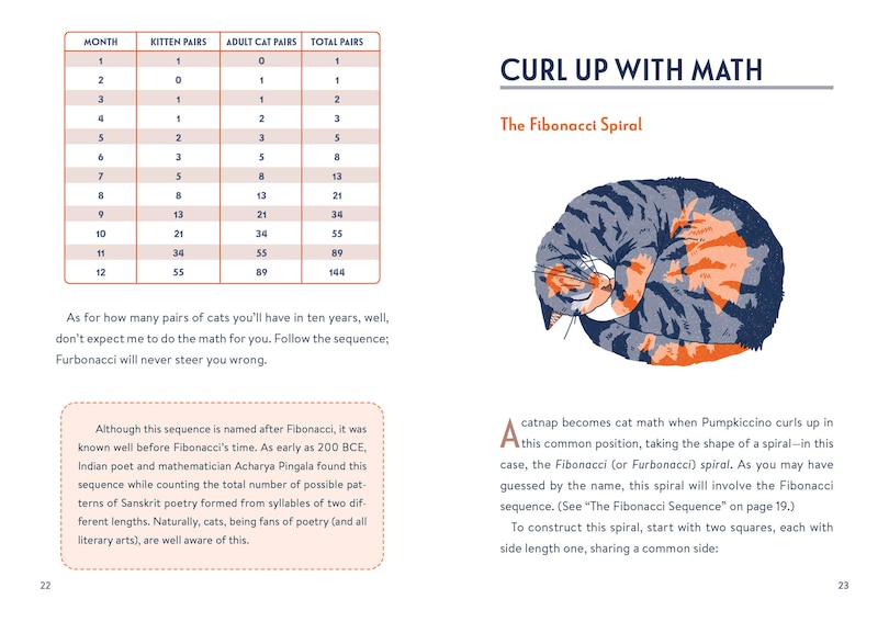 Aper&ccedil;u du contenu 2_Math Cats