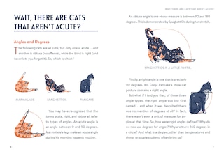 Aper&ccedil;u du contenu 4_Math Cats