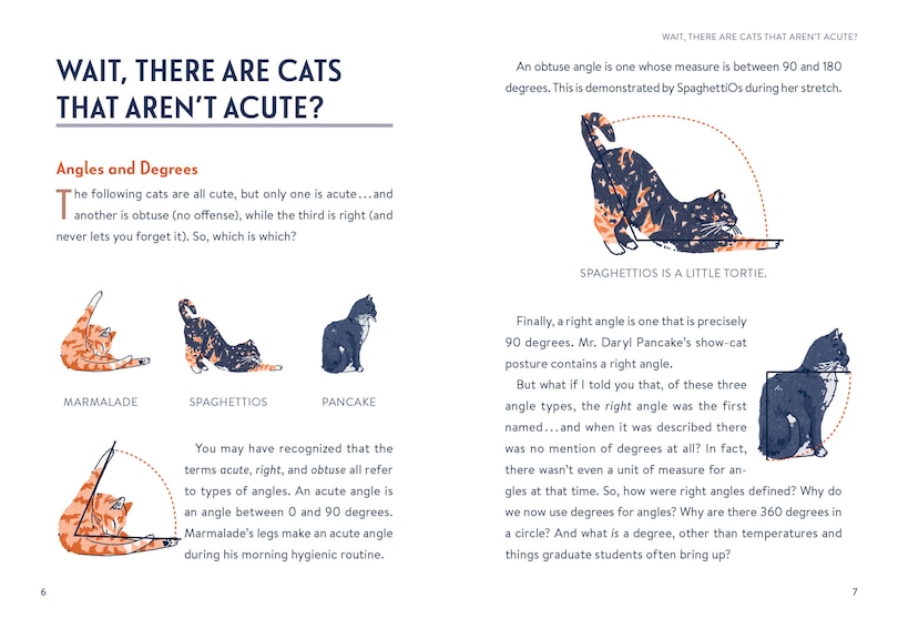 Aper&ccedil;u du contenu 4_Math Cats