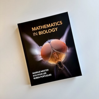 Sample content_Mathematics in Biology