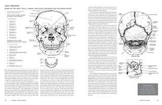 Sample content 2_Mcmurtrie's Human Anatomy Coloring Book
