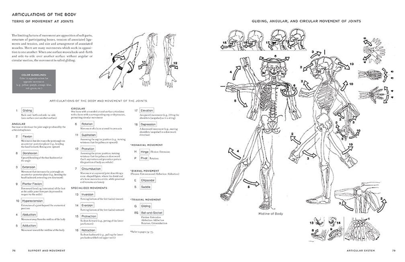 Sample content 3_Mcmurtrie's Human Anatomy Coloring Book