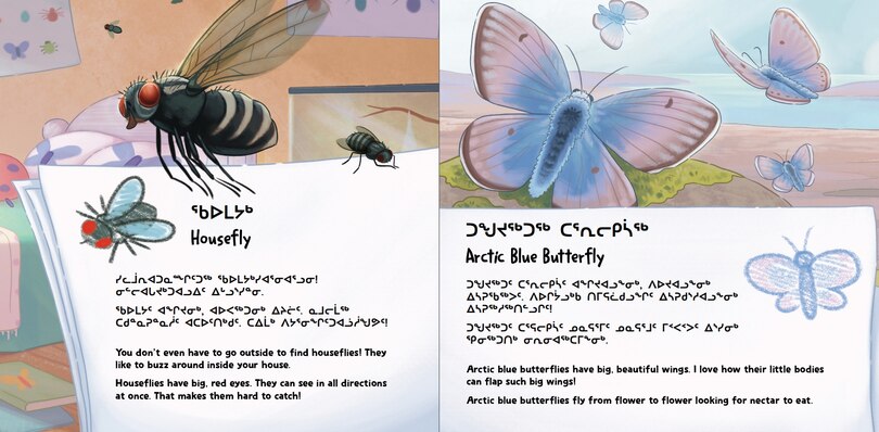 Sample content 3_Meeka Loves Nature: Insects