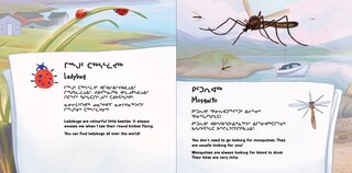 Sample content 5_Meeka Loves Nature: Insects