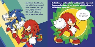 Sample content_Meet Sonic!