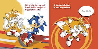 Sample content 2_Meet Sonic!