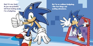 Sample content 5_Meet Sonic!