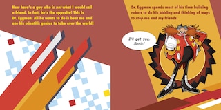 Aper&ccedil;u du contenu_Meet Sonic's Friends!