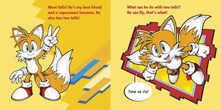 Aper&ccedil;u du contenu 4_Meet Sonic's Friends!