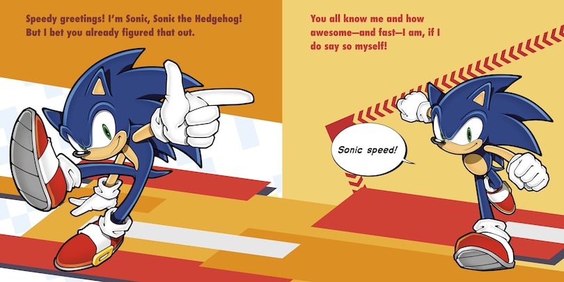 Aper&ccedil;u du contenu 5_Meet Sonic's Friends!