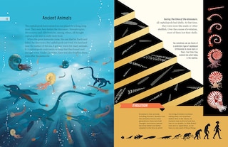 Aper&ccedil;u du contenu 2_Meet the Cephalopods