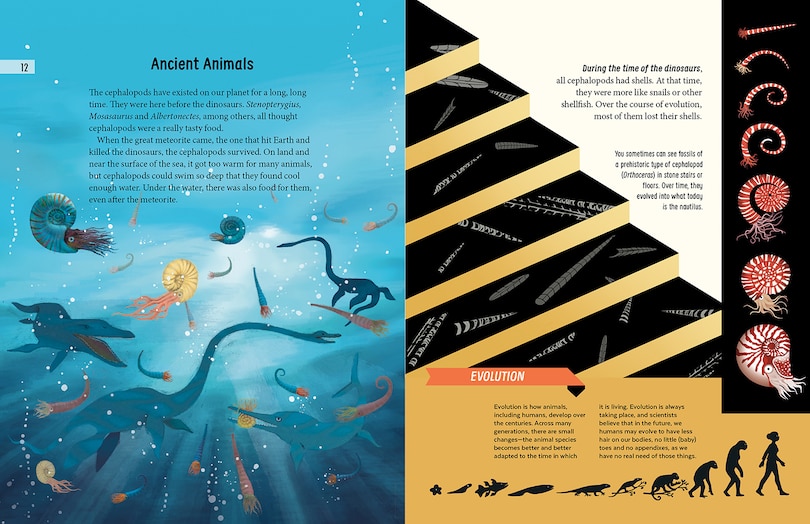 Aper&ccedil;u du contenu 2_Meet the Cephalopods