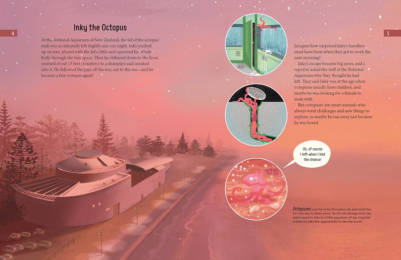 Aper&ccedil;u du contenu 3_Meet the Cephalopods