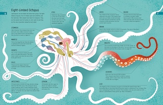 Aper&ccedil;u du contenu 4_Meet the Cephalopods