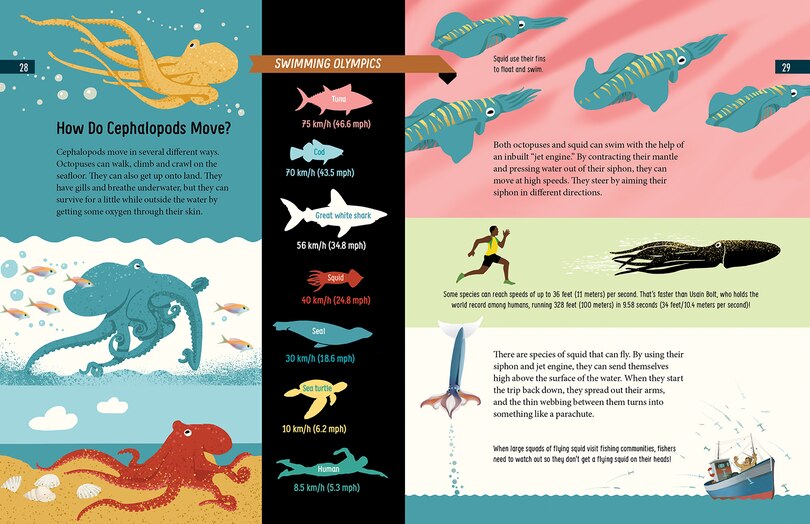 Aper&ccedil;u du contenu 5_Meet the Cephalopods