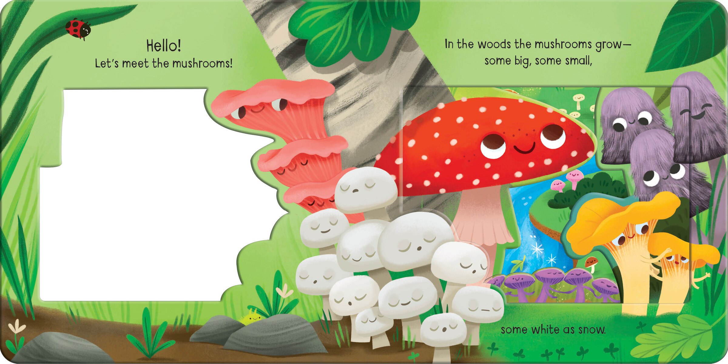 Meet The Mushrooms! Book By Sonali Fry, ('bd') | Indigo