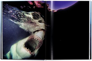 Sample content 2_Michael Muller. Sharks