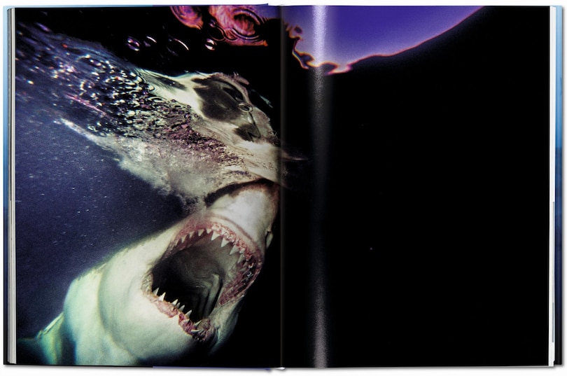 Sample content 2_Michael Muller. Sharks