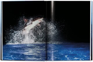 Sample content 3_Michael Muller. Sharks