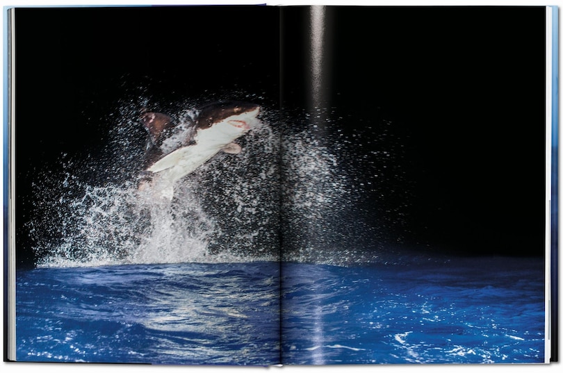 Sample content 3_Michael Muller. Sharks