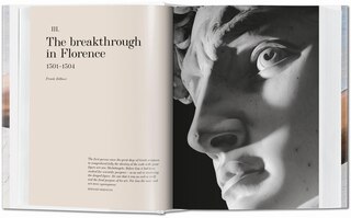 Aper&ccedil;u du contenu 5_Michel-Ange. L'&oelig;uvre peint, sculpt&eacute; et architectural complet